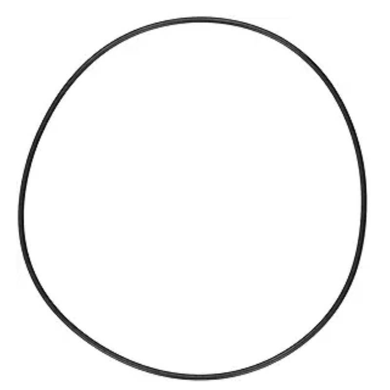 225198021.jpg