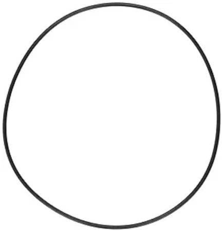 225198023.jpg
