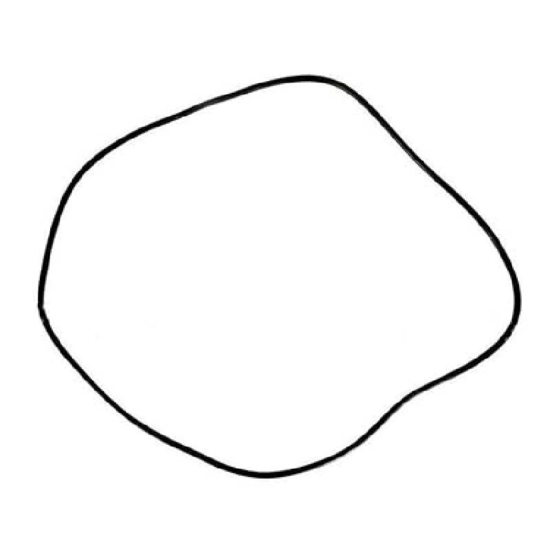 225198046.jpg