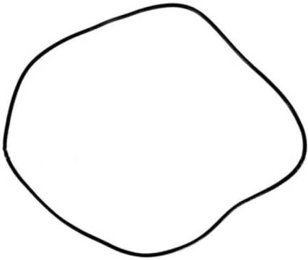 225198049.jpg