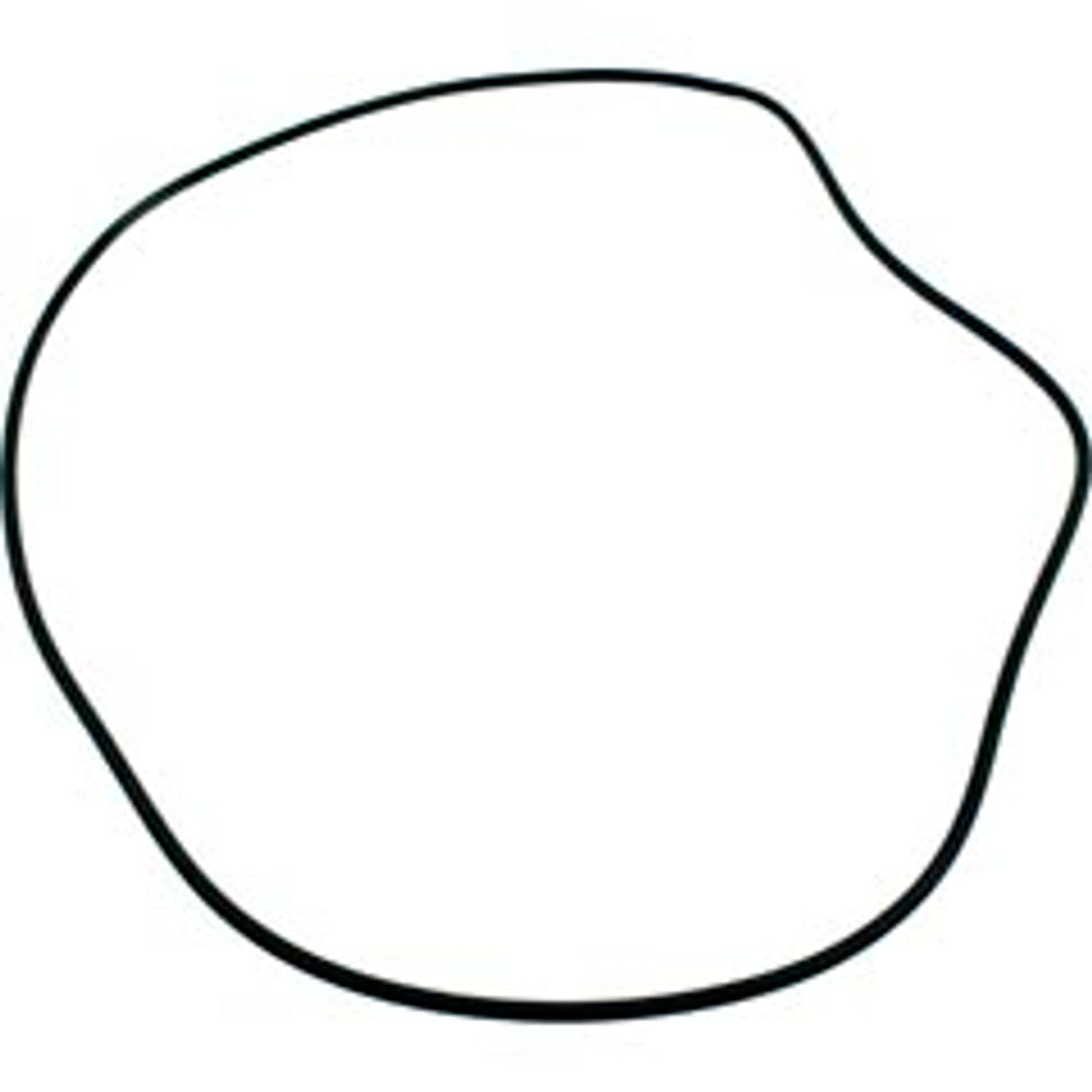 225198100.jpg