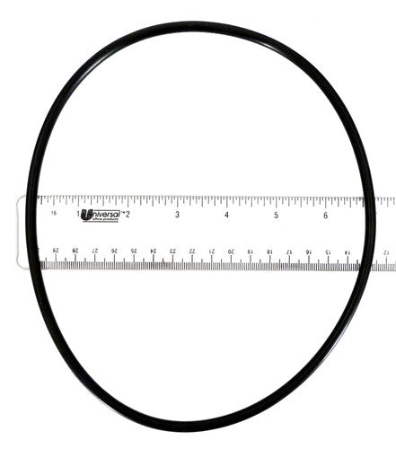 225198955.jpg