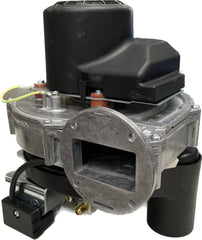 BURNHAM 105031-02 GAS VALVE ASSEMBLIES