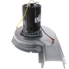 225200386.jpg
