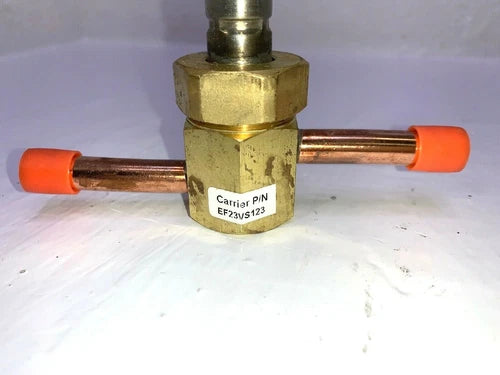 225200976.webp