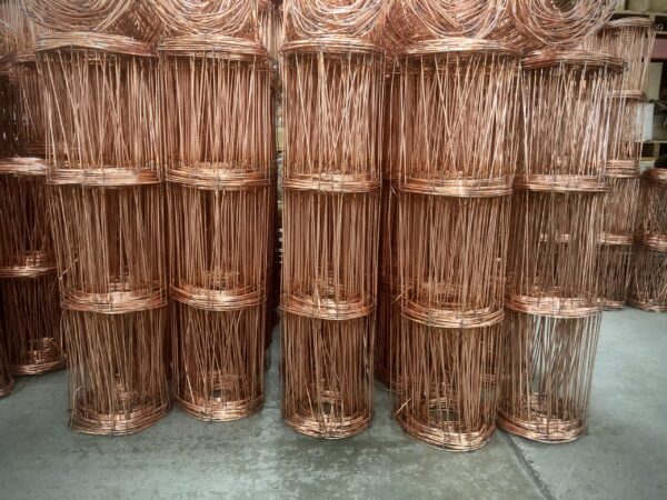225202307.jpg