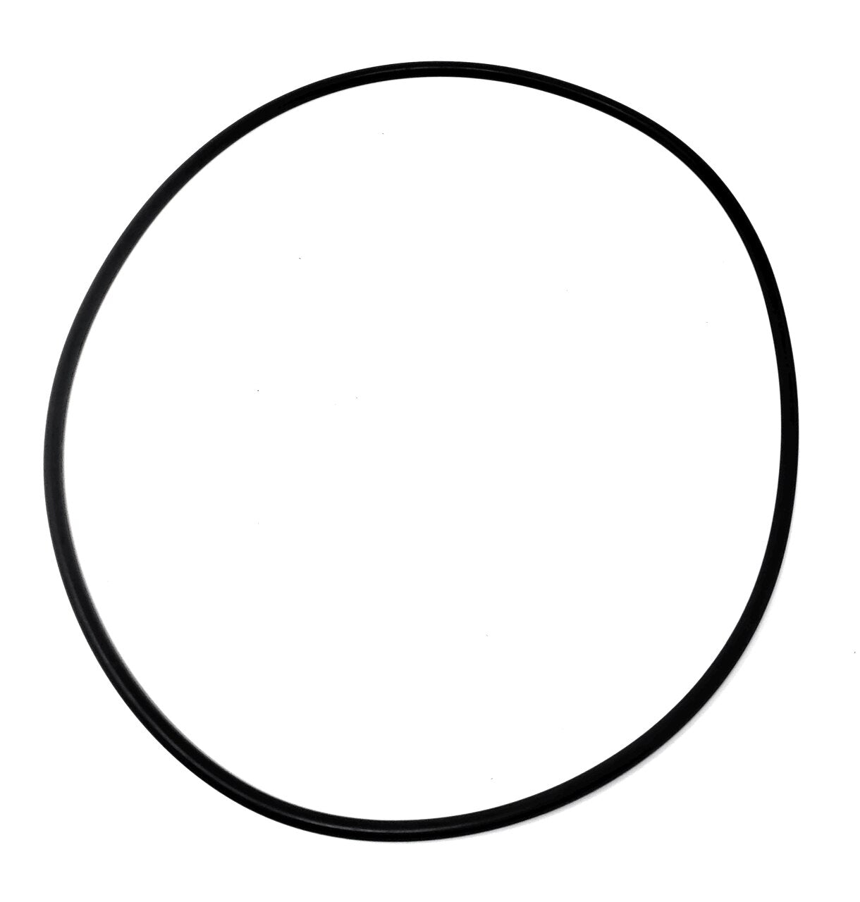 HAYWARD 005-302-0100-00 O-RINGS & GASKETS