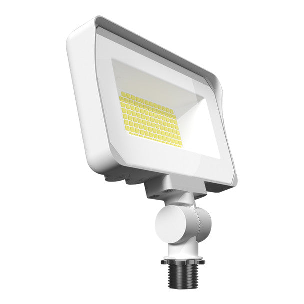 225207176.jpg
