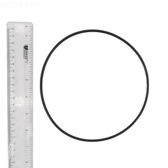 226737680.jpg