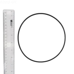 226737682.jpg
