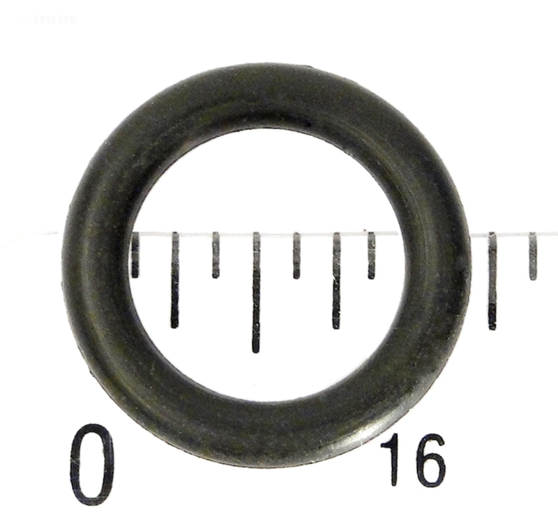 226737831.jpg