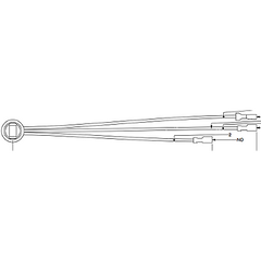 226929338.webp