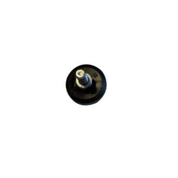 226931999.jpg