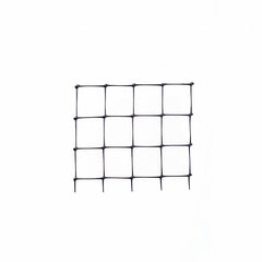 226935904.jpg