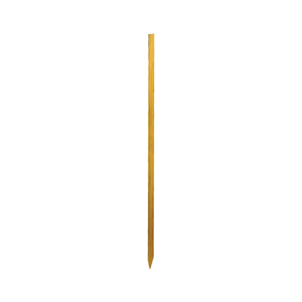 226990152.jpg