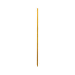 226990152.jpg