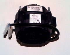 226990416.jpg