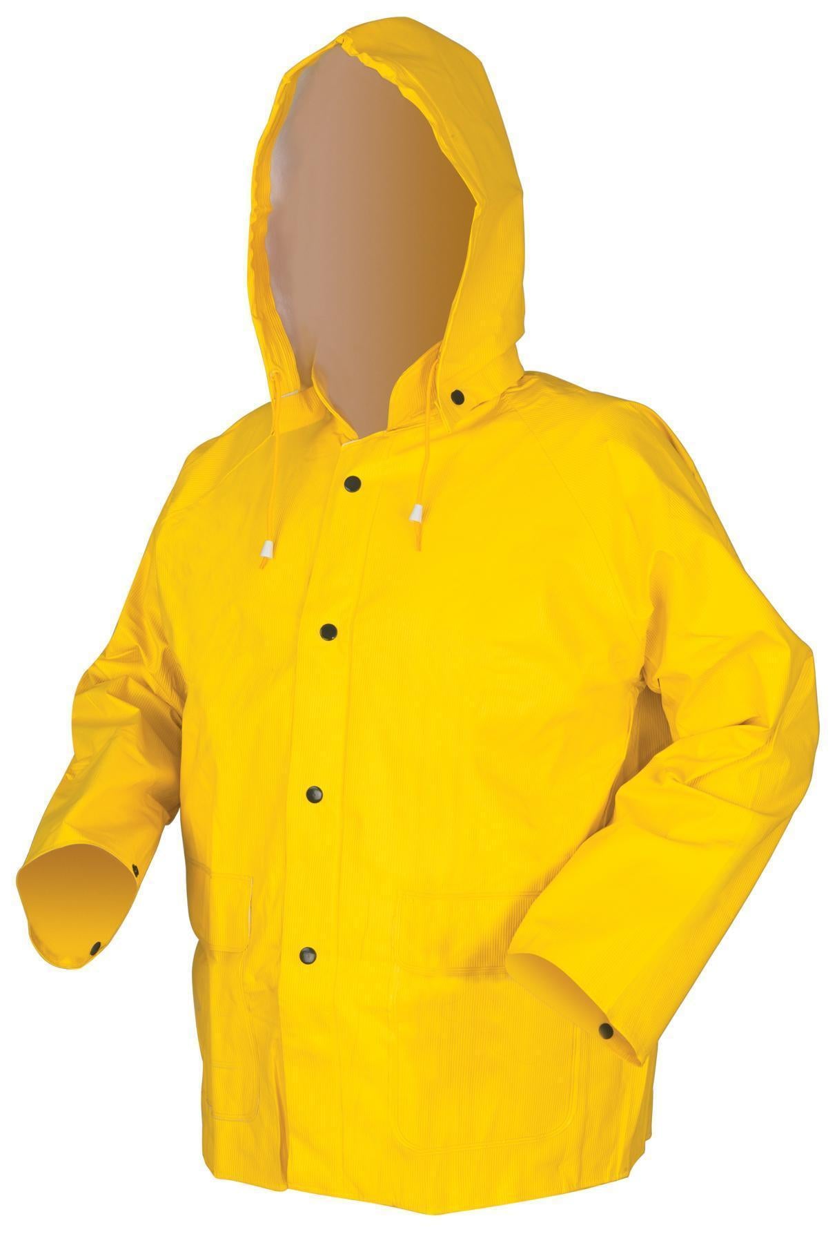226991802.jpg