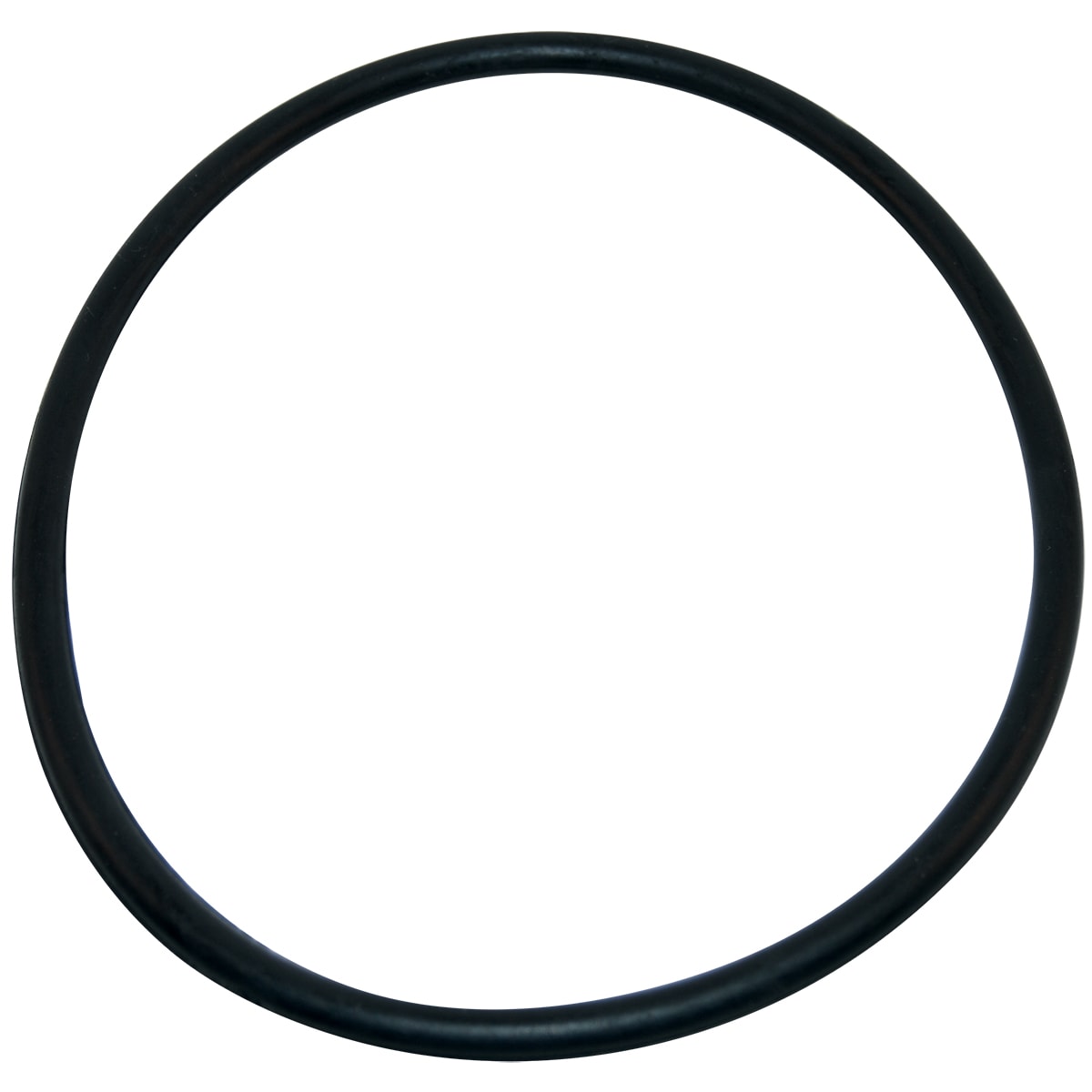 226994317.jpg
