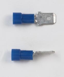 228671970.jpg