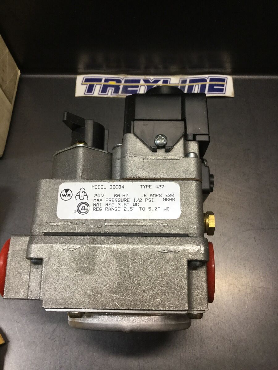 228675498.jpg