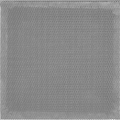 228677252.jpg