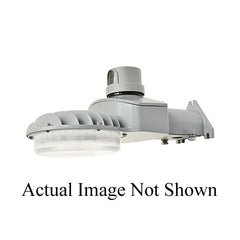 228678197.jpg