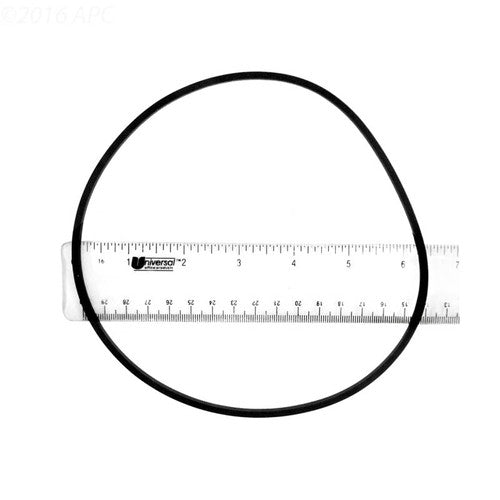 228678512.jpg
