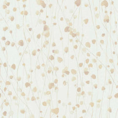 229408523.webp