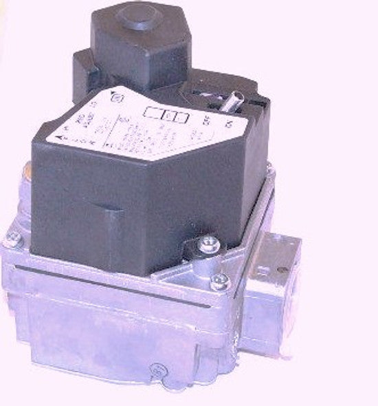 229410342.jpg