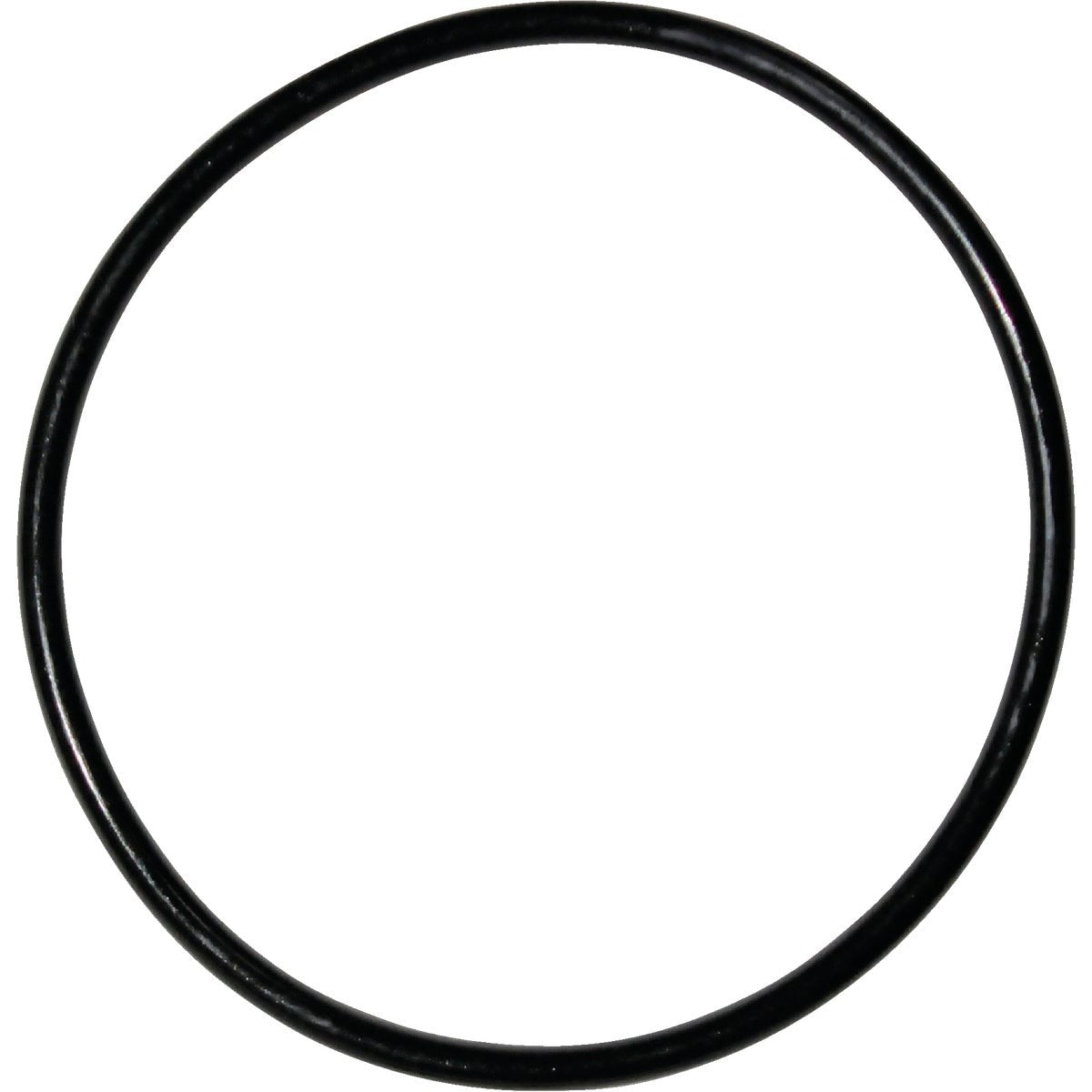 229411233.jpg