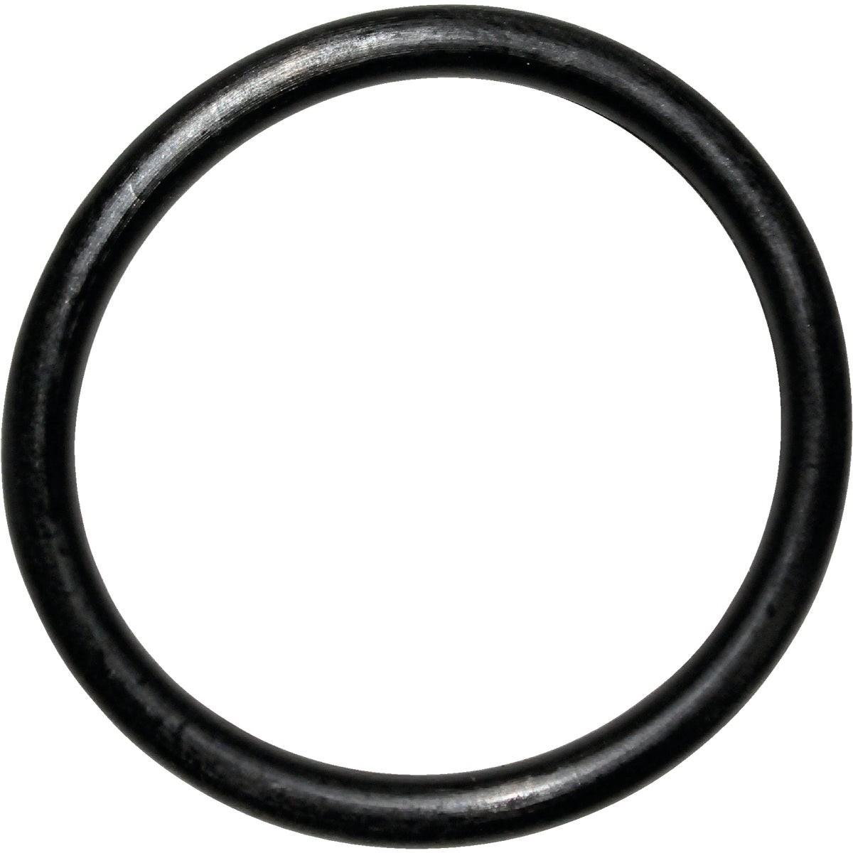 229411243.jpg