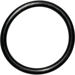 229411243.jpg