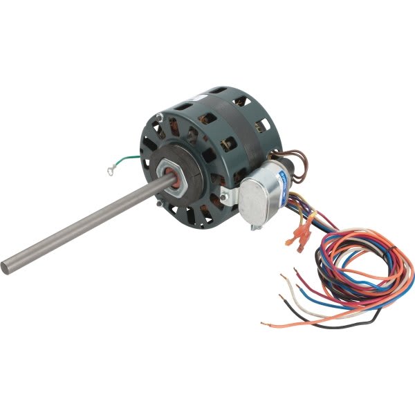 229412465.jpg