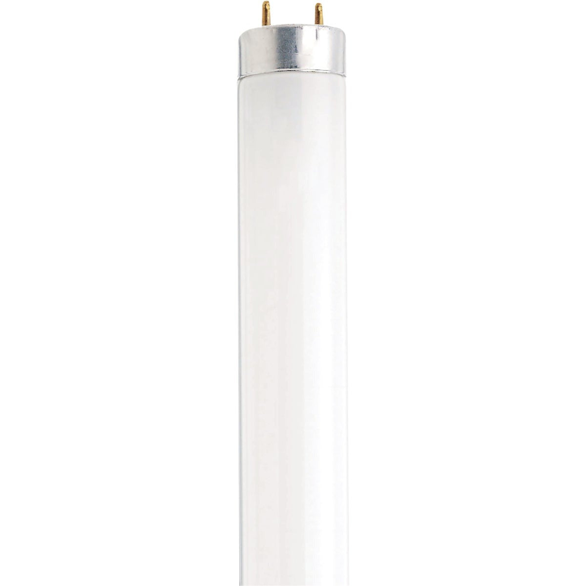 SATCO-NUVO Satco S7949 T8 Fluorescent Lamp 15W 18 Inch Cool White