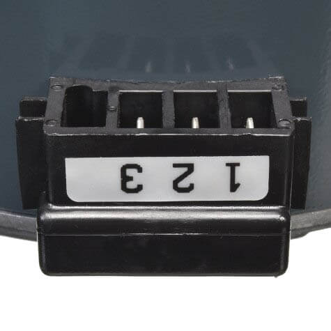 232166696.jpg