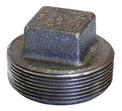 233165981.jpg