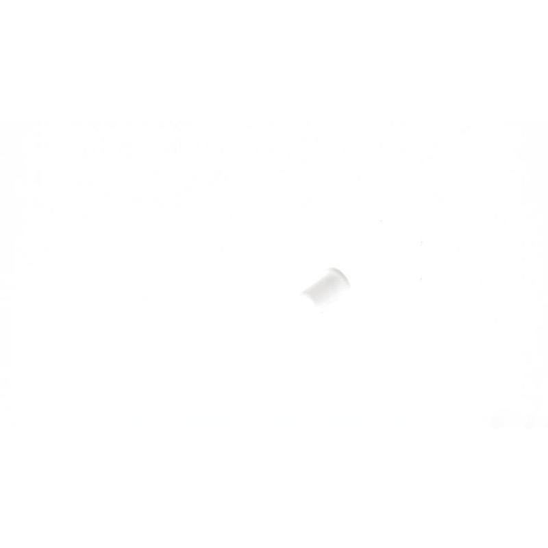233166847.jpg