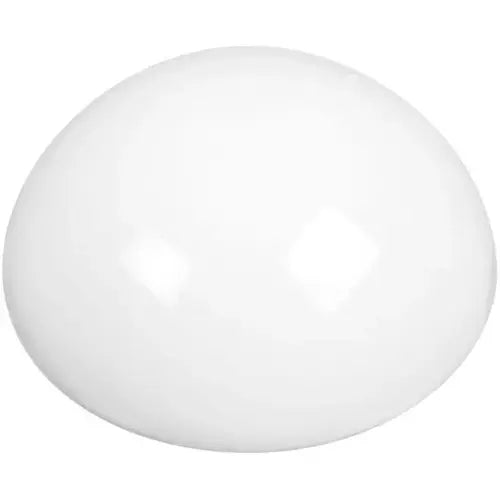 233177299.webp