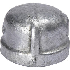 233178555.jpg