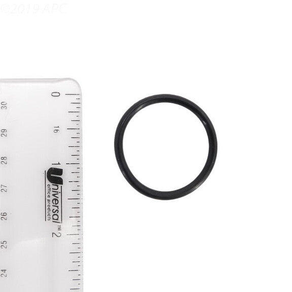 234601468.jpg