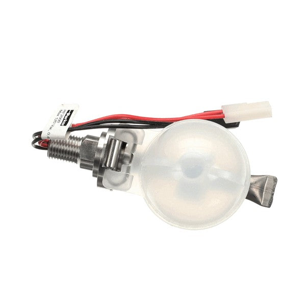 235629481.jpg