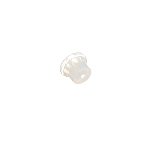 235834978.jpg
