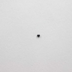 237530641.jpg