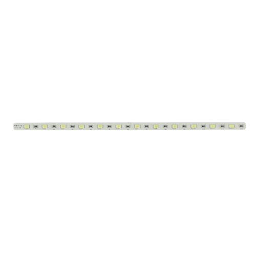 237543448.jpg