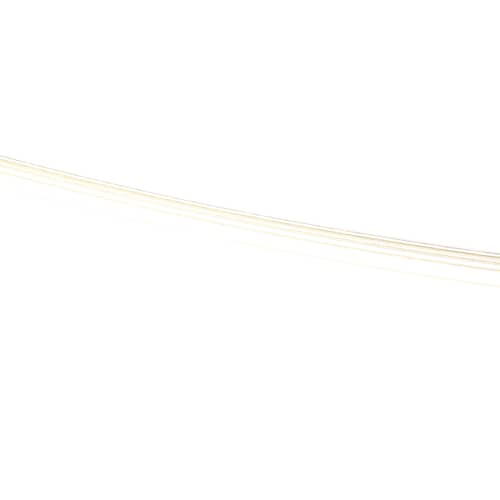 237933382.jpg