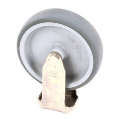 237949821.jpg