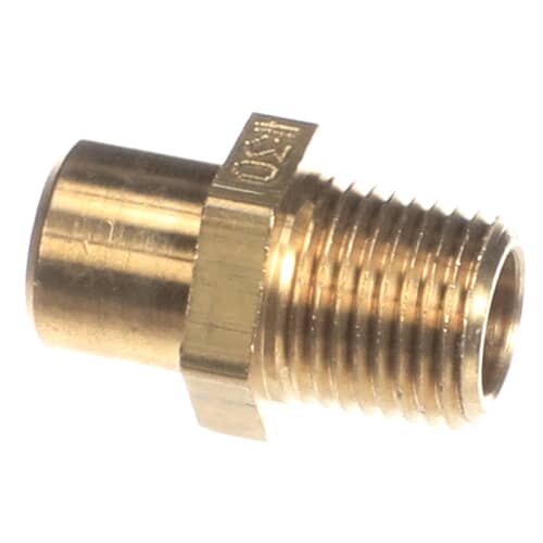 237951799.jpg