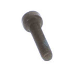 237954927.jpg