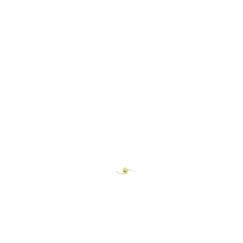 237961588.jpg